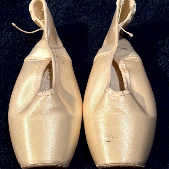 Gaynor Minden Europa Pointe Shoes Classic Width Narrow Shank Hard - Picture 1 of 9